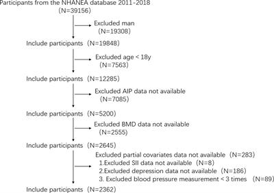 Association between the atherogenic index of plasma and bone mineral density among adult women: NHANES (2011–2018)